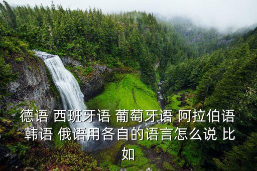 德語 西班牙語 葡萄牙語 阿拉伯語 韓語 俄語用各自的語言怎么說 比如