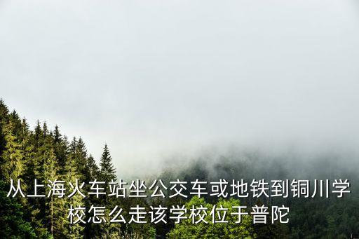 從上海火車站坐公交車或地鐵到銅川學校怎么走該學校位于普陀