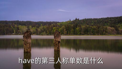 have的第三人稱單數，have的第三人稱單數是什么