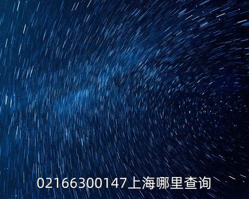 02166300147上海哪里查詢