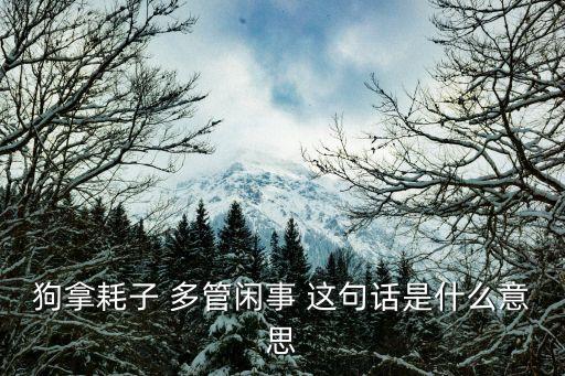 狗拿耗子 多管閑事 這句話是什么意思