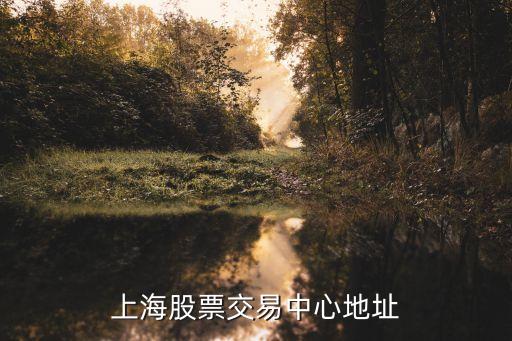 上海市股價中心，上海股交中心 與 A股有何不同