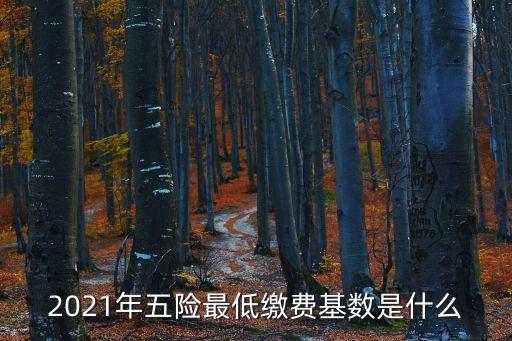 2021年五險最低繳費基數是什么
