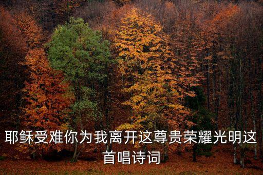 耶穌受難你為我離開(kāi)這尊貴榮耀光明這首唱詩(shī)詞