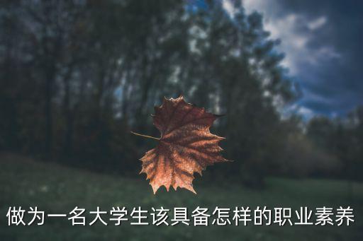 做為一名大學生該具備怎樣的職業素養
