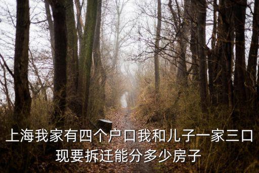 上海我家有四個戶口我和兒子一家三口現要拆遷能分多少房子