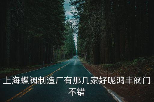 上海市蝶閥閥門有限公司，上海蝶閥制造廠有那幾家好呢鴻豐閥門不錯