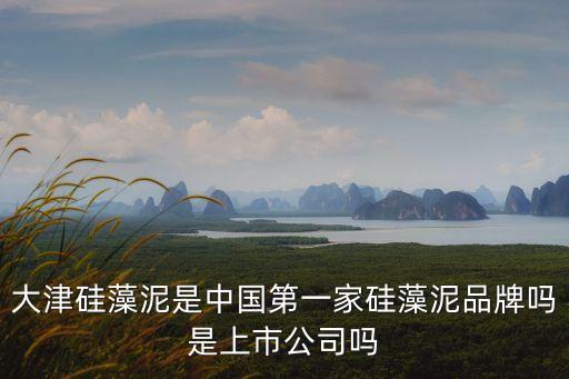 大津硅藻泥是中國第一家硅藻泥品牌嗎是上市公司嗎
