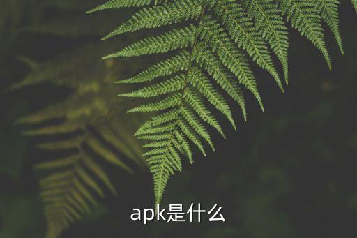 apk是什么