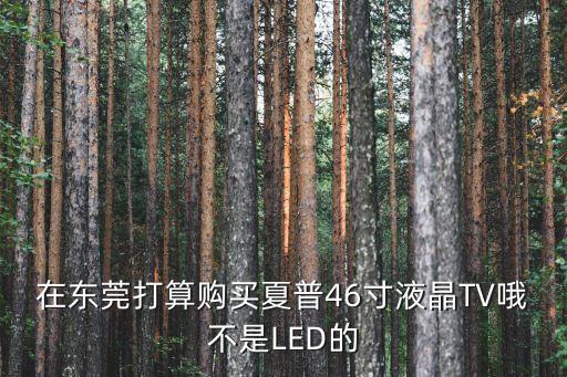 在東莞打算購買夏普46寸液晶TV哦不是LED的