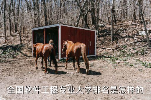 軟件工程專業大學排名，求軟件工程專業大學排名