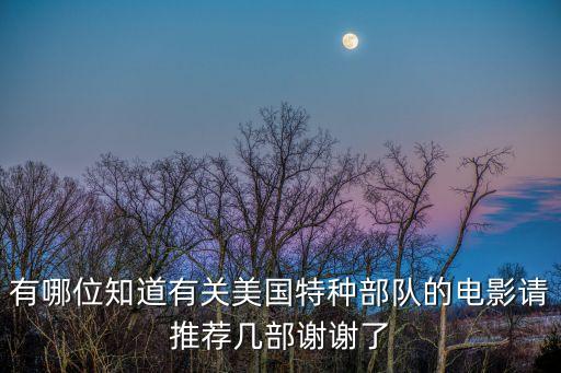美國特種兵，求一些精彩的美國特種兵電影