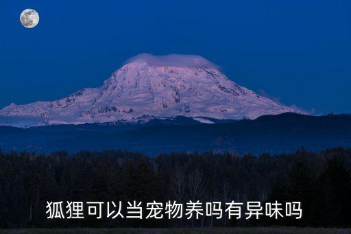 狐貍可以當寵物養嗎有異味嗎