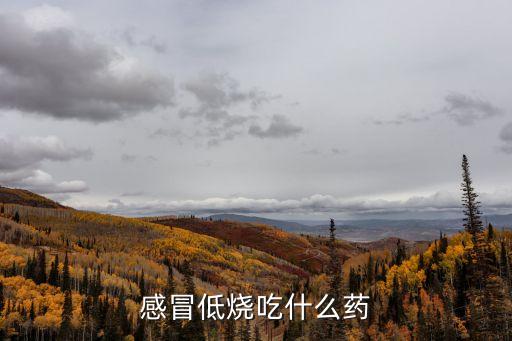 感冒低燒吃什么藥，治療感冒低燒吃什么藥好