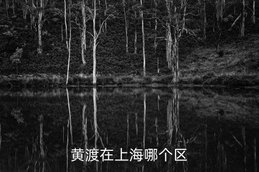 黃渡在上海哪個區