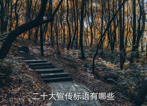 二十大宣傳標(biāo)語(yǔ)有哪些