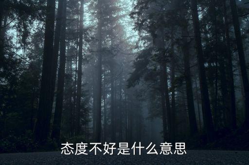 態度不好，態度不好是什么意思