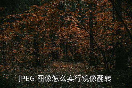 圖片鏡像翻轉(zhuǎn)，JPEG 圖像怎么實行鏡像翻轉(zhuǎn)