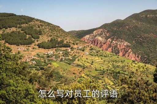 對員工的工作評價，怎么寫對員工的評語
