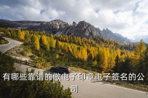 有哪些靠譜的做電子印章電子簽名的公司