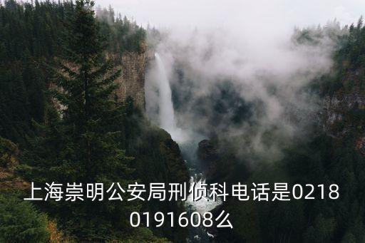 上海崇明公安局刑偵科電話是02180191608么