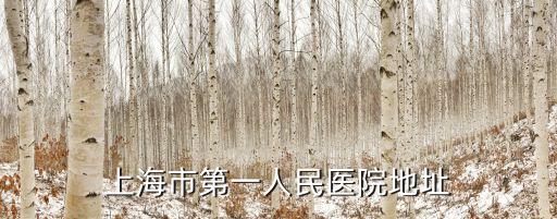 覽海醫(yī)療上海市第一人民醫(yī)院，上海市第一人民醫(yī)院地址