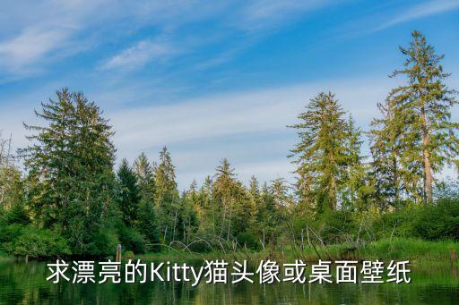 小貓咪壁紙，求漂亮的Kitty貓頭像或桌面壁紙