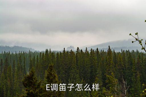 E調笛子怎么樣