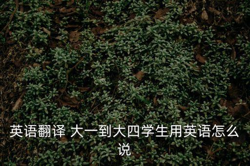 英語翻譯 大一到大四學生用英語怎么說