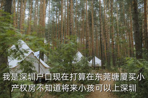 我是深圳戶口現(xiàn)在打算在東莞塘廈買小產(chǎn)權(quán)房不知道將來小孩可以上深圳