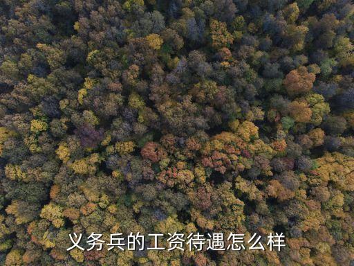 義務兵的工資待遇怎么樣