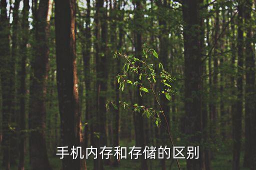 內(nèi)存和儲(chǔ)存的區(qū)別，電腦內(nèi)存和儲(chǔ)存有什么區(qū)別