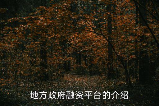 地方政府融資平臺的介紹