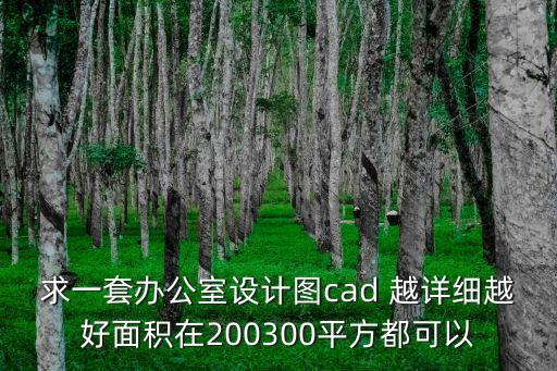 求一套辦公室設計圖cad 越詳細越好面積在200300平方都可以