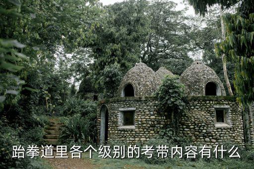 跆拳道里各個級別的考帶內容有什么