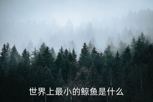 世界上最小的鯨魚是什么