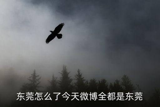 東莞怎么了今天微博全都是東莞