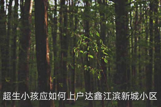 東莞達鑫江濱新城一期，超生小孩應如何上戶達鑫江濱新城小區