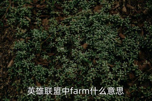 英雄聯盟中farm什么意思