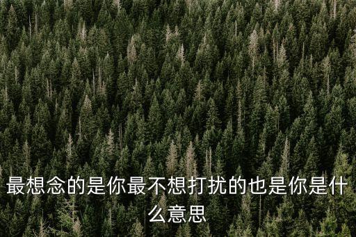 最想念的是你最不想打擾的也是你是什么意思