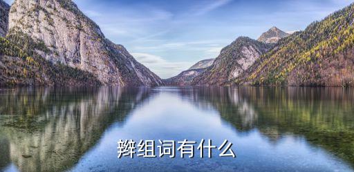 辮組詞有什么