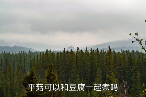 平菇豆腐，平菇燉豆腐怎么做