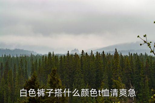 白色褲子搭什么顏色t恤清爽急