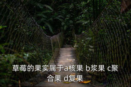 草莓的果實屬于a核果 b漿果 c聚合果 d復果