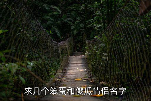 求幾個笨蛋和傻瓜情侶名字