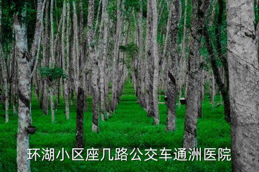 東莞市謝崗鎮 環湖小區，通洲臺湖陽光佳苑到張家灣環湖小區怎么走