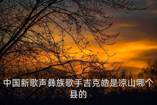 中國新歌聲彝族歌手吉克皓是涼山哪個縣的