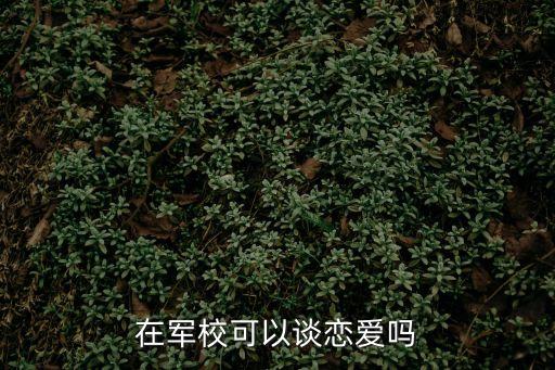 在軍校可以談戀愛嗎