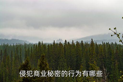 侵犯商業(yè)秘密行為，侵犯商業(yè)秘密的侵權(quán)行為有哪些