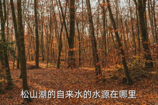 東莞松山湖出水口，松山湖的自來水的水源在哪里